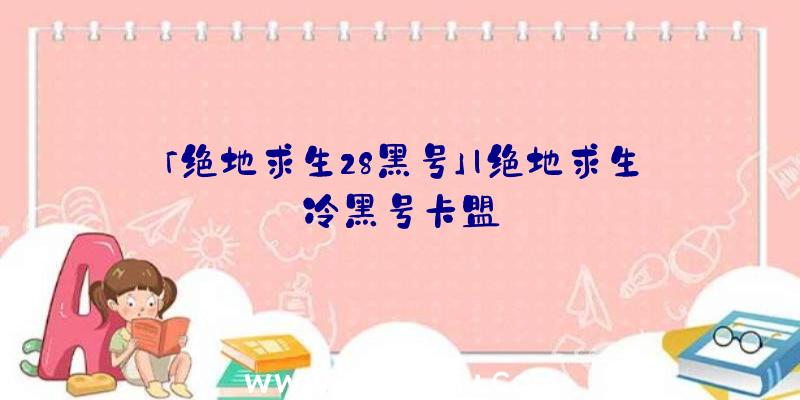 「绝地求生28黑号」|绝地求生冷黑号卡盟